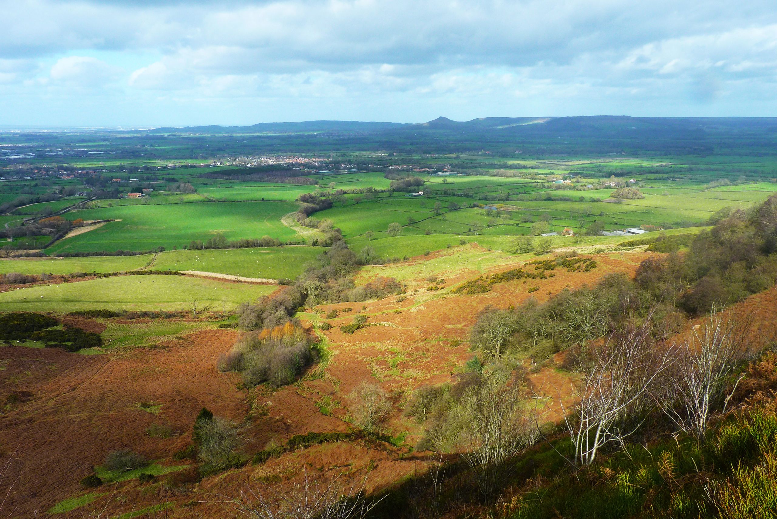 Roseberry Topping